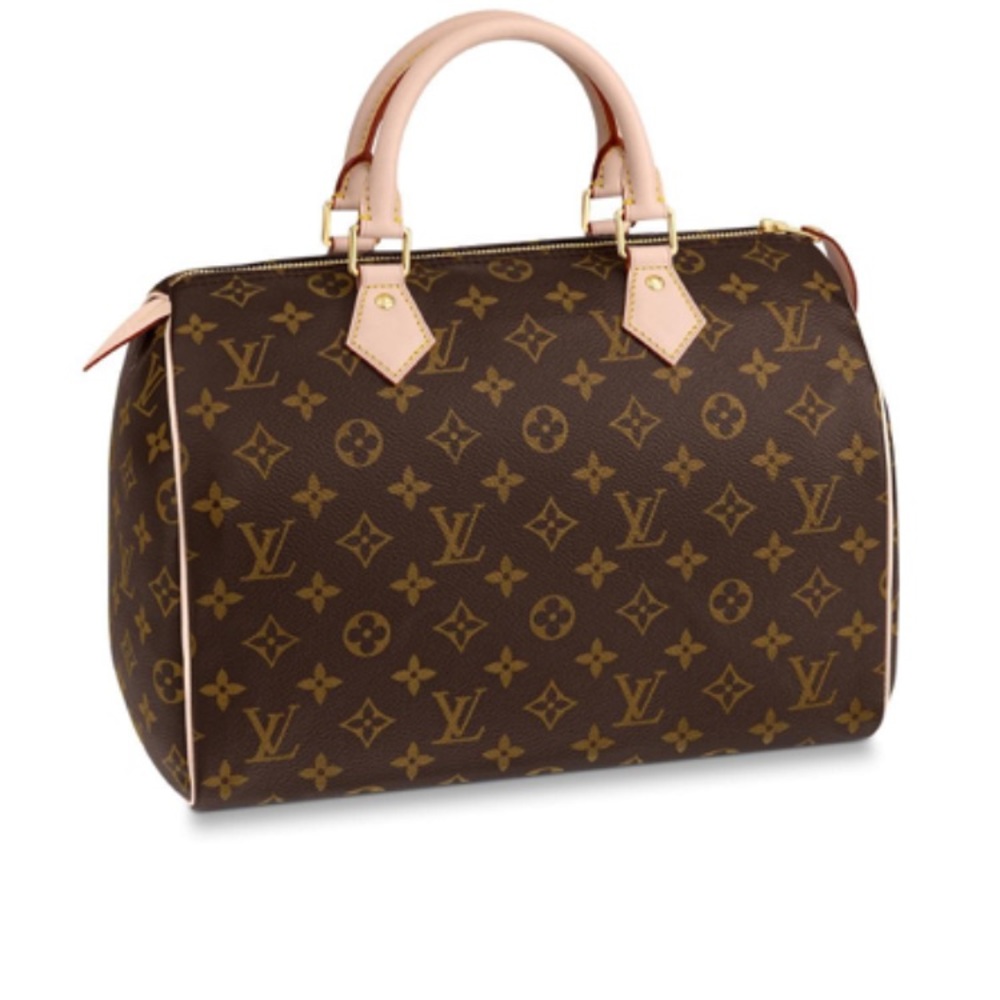 Louis Vuitton “Speedy 30” in monogram
